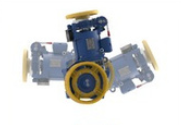 Alberto Sassi Traction Machine